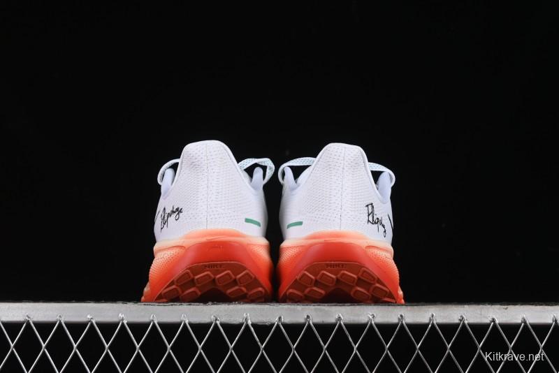 Nike Air Zoom Pegasus 41 Breathable Lightweight Running Shoes with Cushioned Support - HJ7037-100