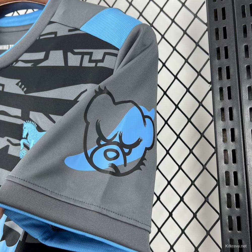 2025/26 Mens Ipswich Town FC Third Jersey